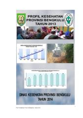 Profil Kesehtan Provinsi Bengkulu Th 2013 (1).pdf