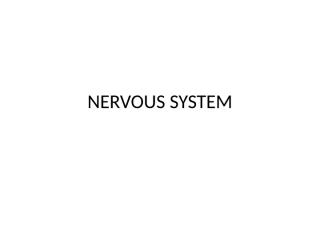 Nervous_System_17_Jan_14.pptx